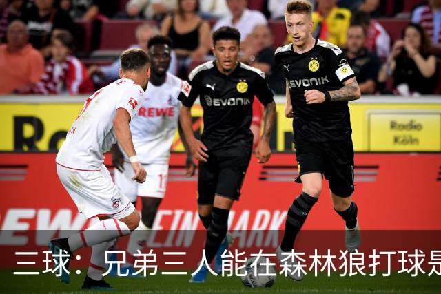 三球：兄弟三人能在森林狼打球是梦想成真 到时让大球打控卫