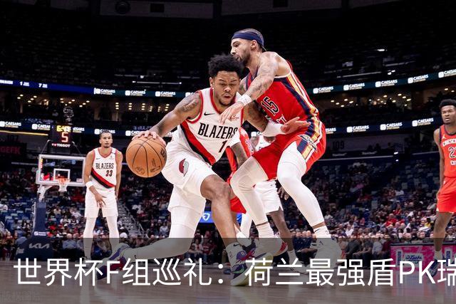 世界杯F组巡礼：荷兰最强盾PK瑞典犀利刀 日本短板明显