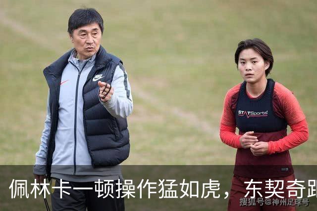 佩林卡一顿操作猛如虎，东契奇距离终生无冠再进一步